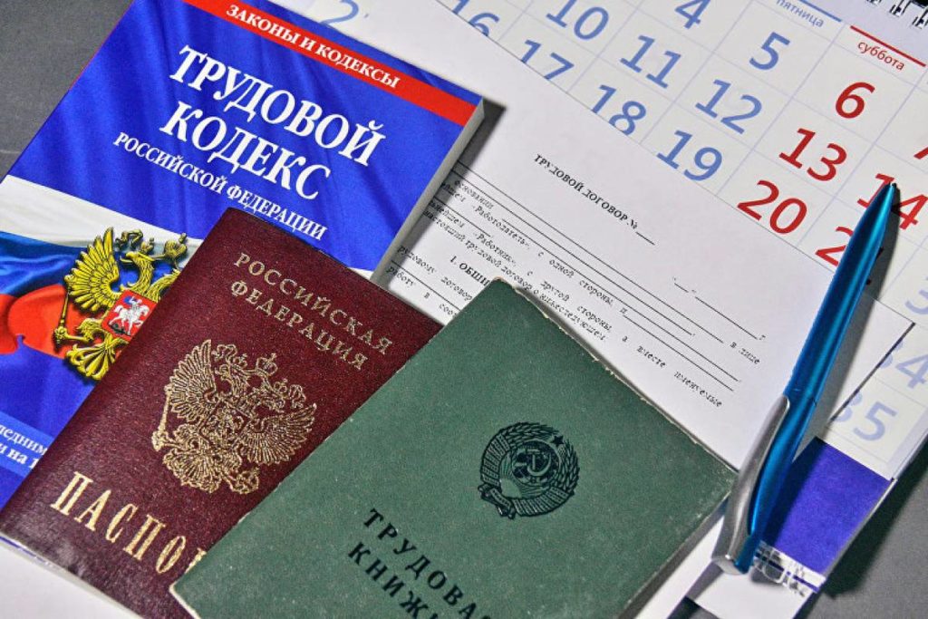 «Единая Россия» вместе с Минтруда подготовят поправки в закон о занятости и Трудовой кодекс