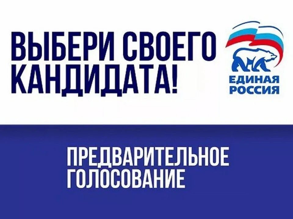 Число претендентов растет: в Ульяновской области не снижает темпа процесс выдвижения участников предварительного голосования «Единой России»