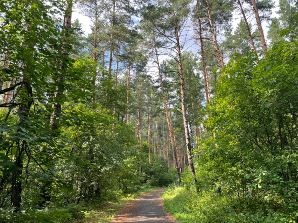 Оберегая леса, животных и человеческие жизни