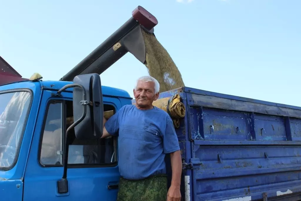До последнего зернышка. Страда продолжается