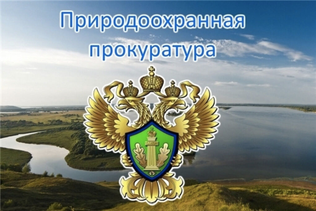 Привлечение к трудовой деятельности