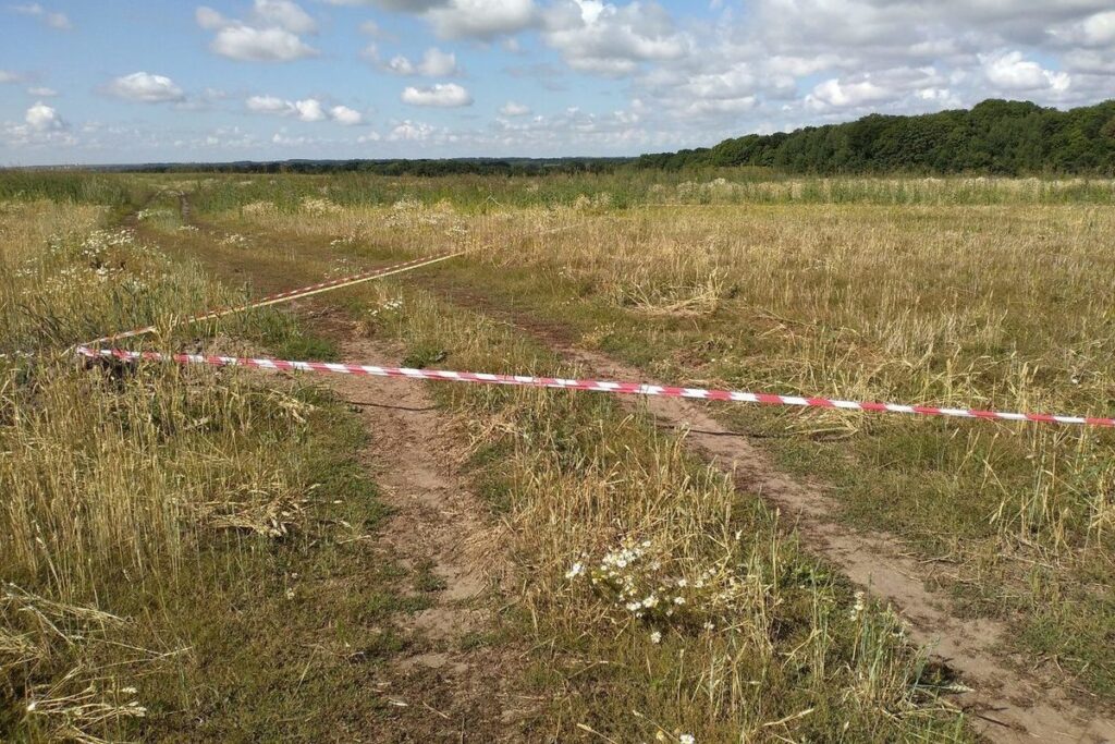 В Правительстве Ульяновской области с участием областной Прокуратуры рассмотрены предварительные итоги работы по обеспечению земельными участками многодетных семей или предоставлению им выплат взамен земельных участков