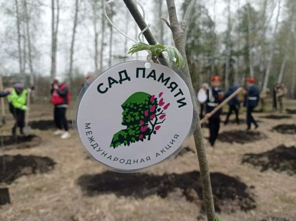 Более 60 тысяч деревьев высадят в Ульяновской области в рамках международной акции «Сад памяти»
