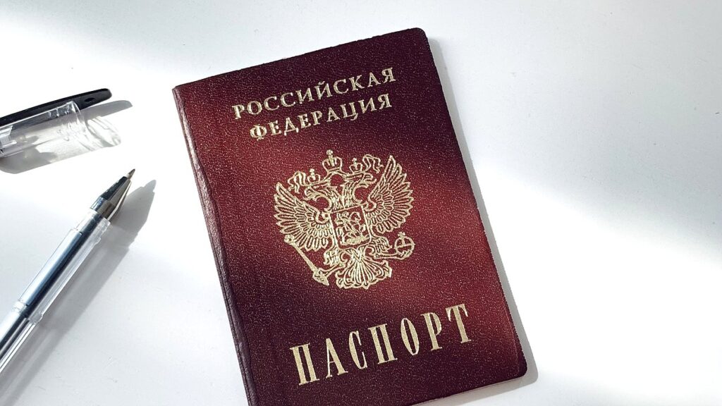 Вступил в силу закон о расширении оснований для прекращения приобретенного гражданства РФ