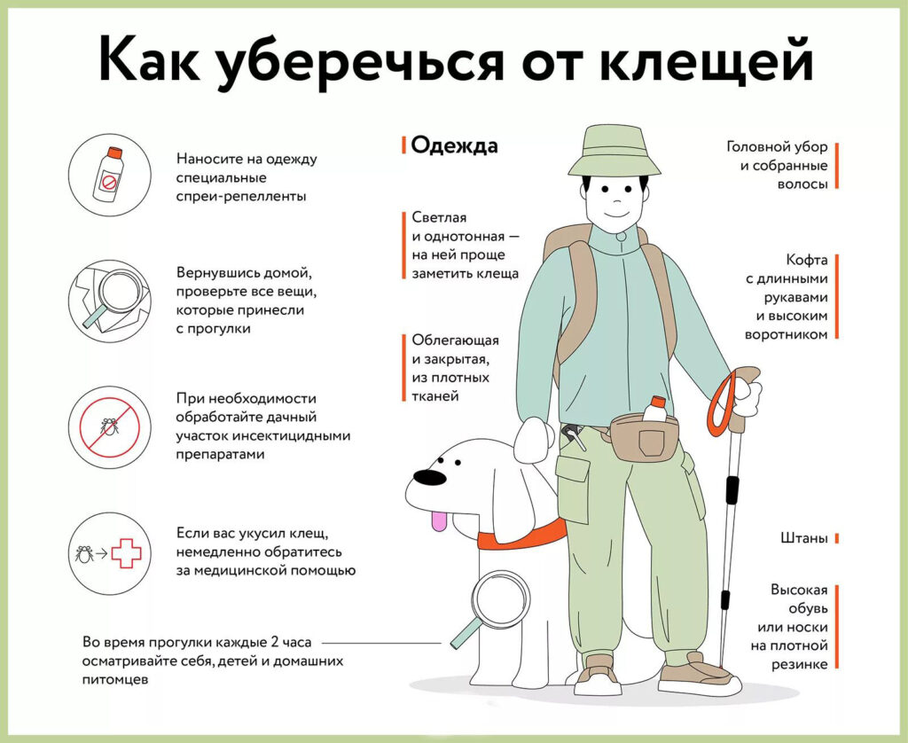 Как защититься от клещевого вирусного энцефалита