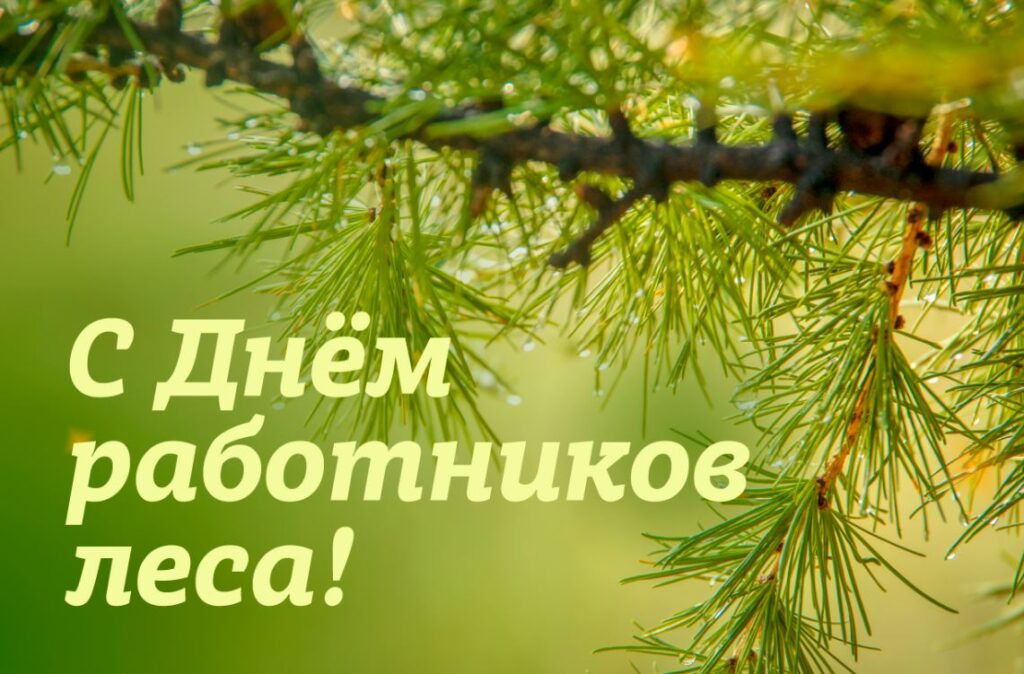 20 сентября – День работника леса