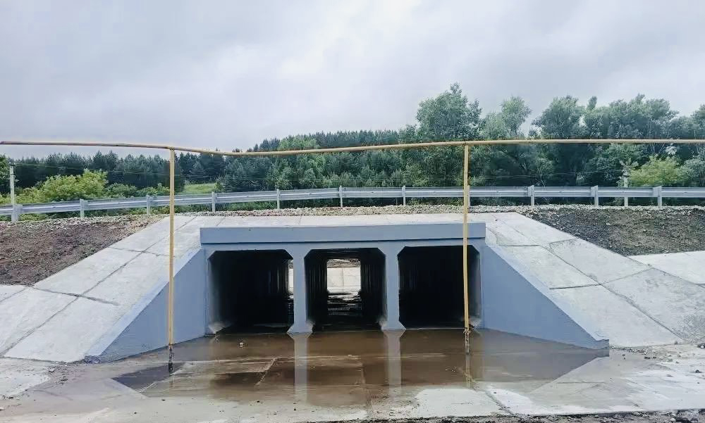 В селе Томылово заработал обновленный мост